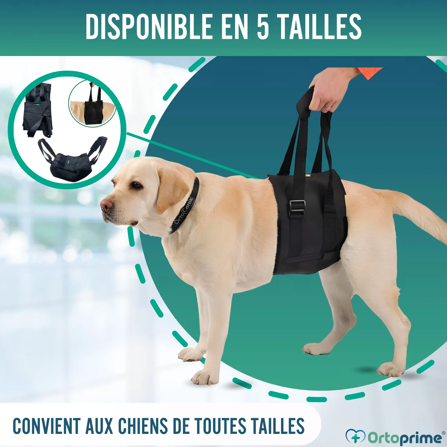 Image du produit 10