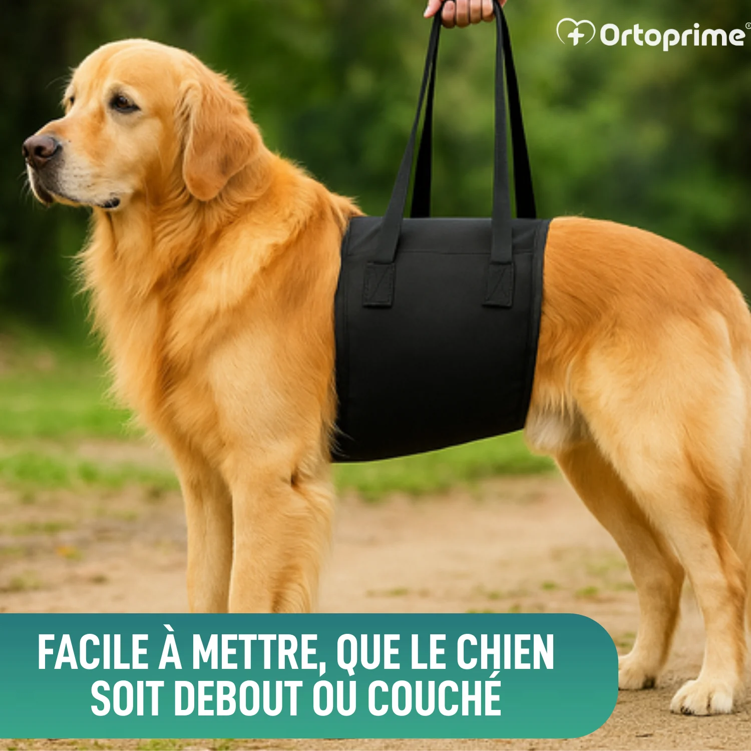 Image du produit 5