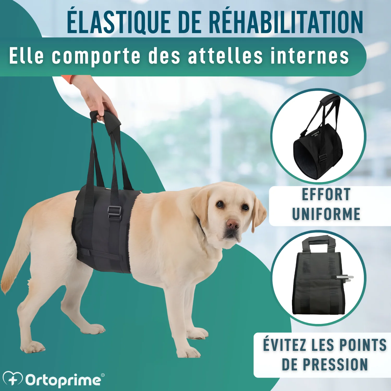 Image du produit 9
