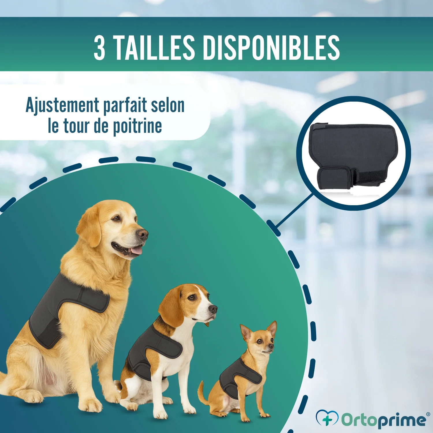Image du produit 8