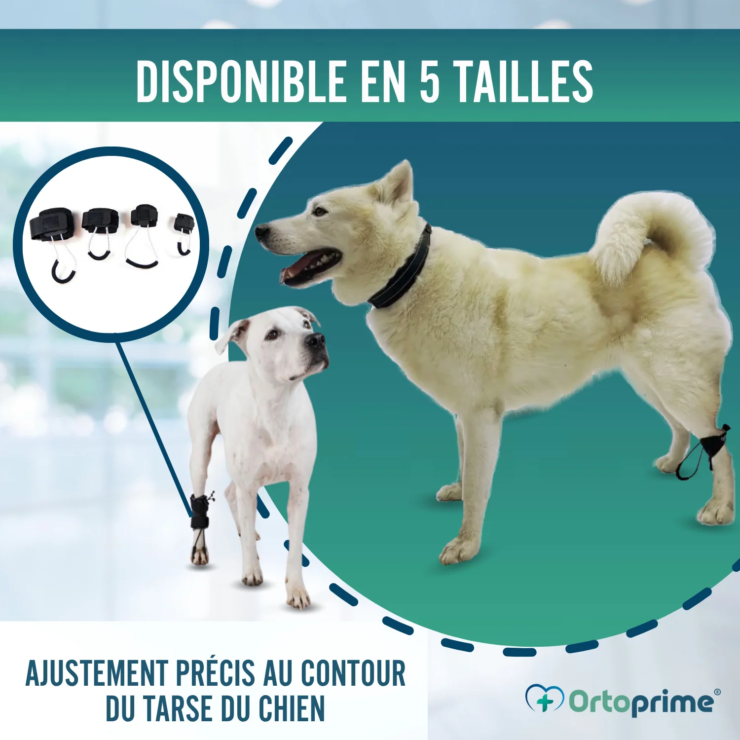 Image du produit 5