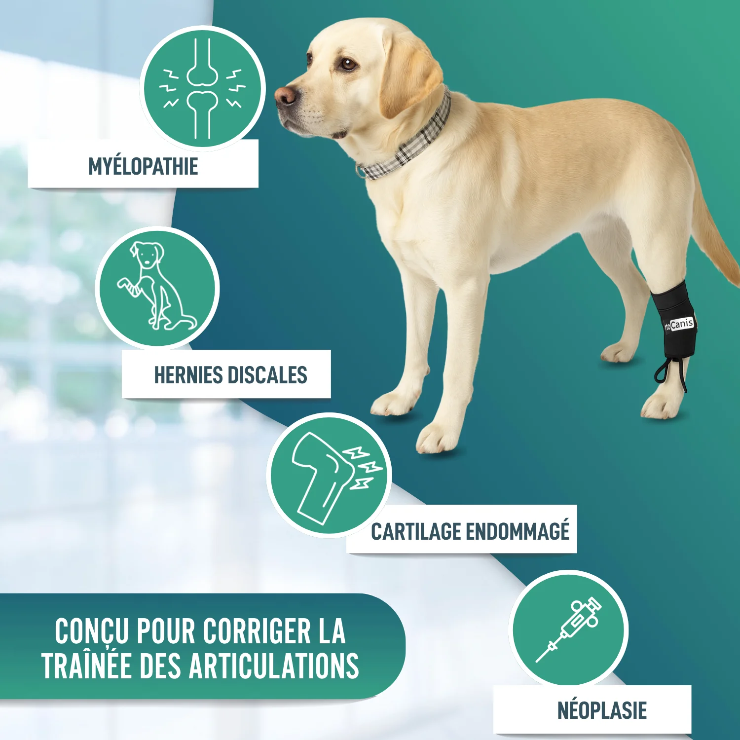 Image du produit 6