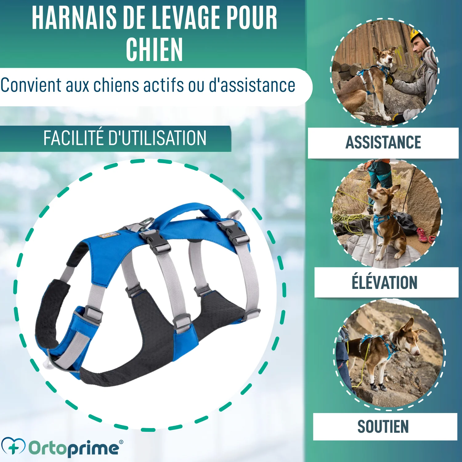 Image du produit 3