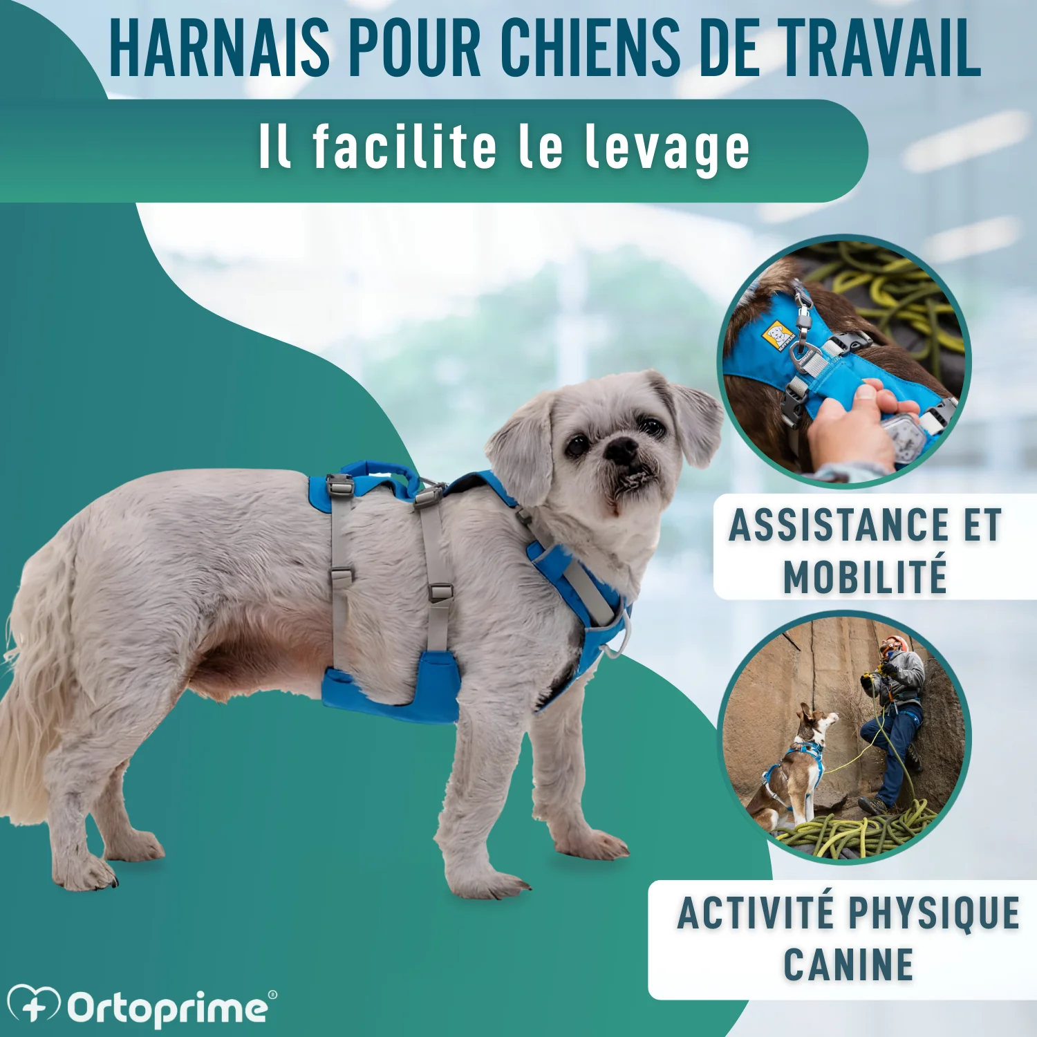 Image du produit 5