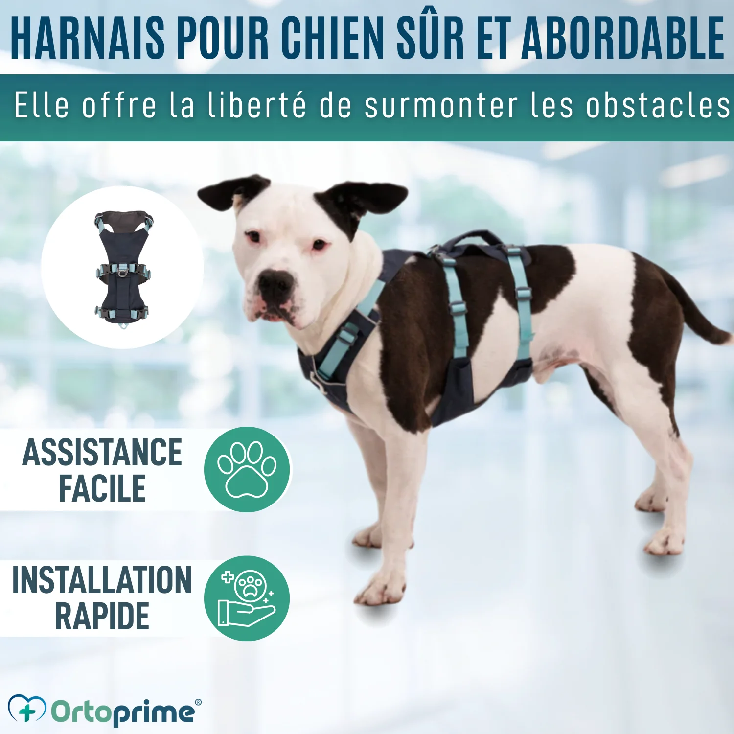 Image du produit 7