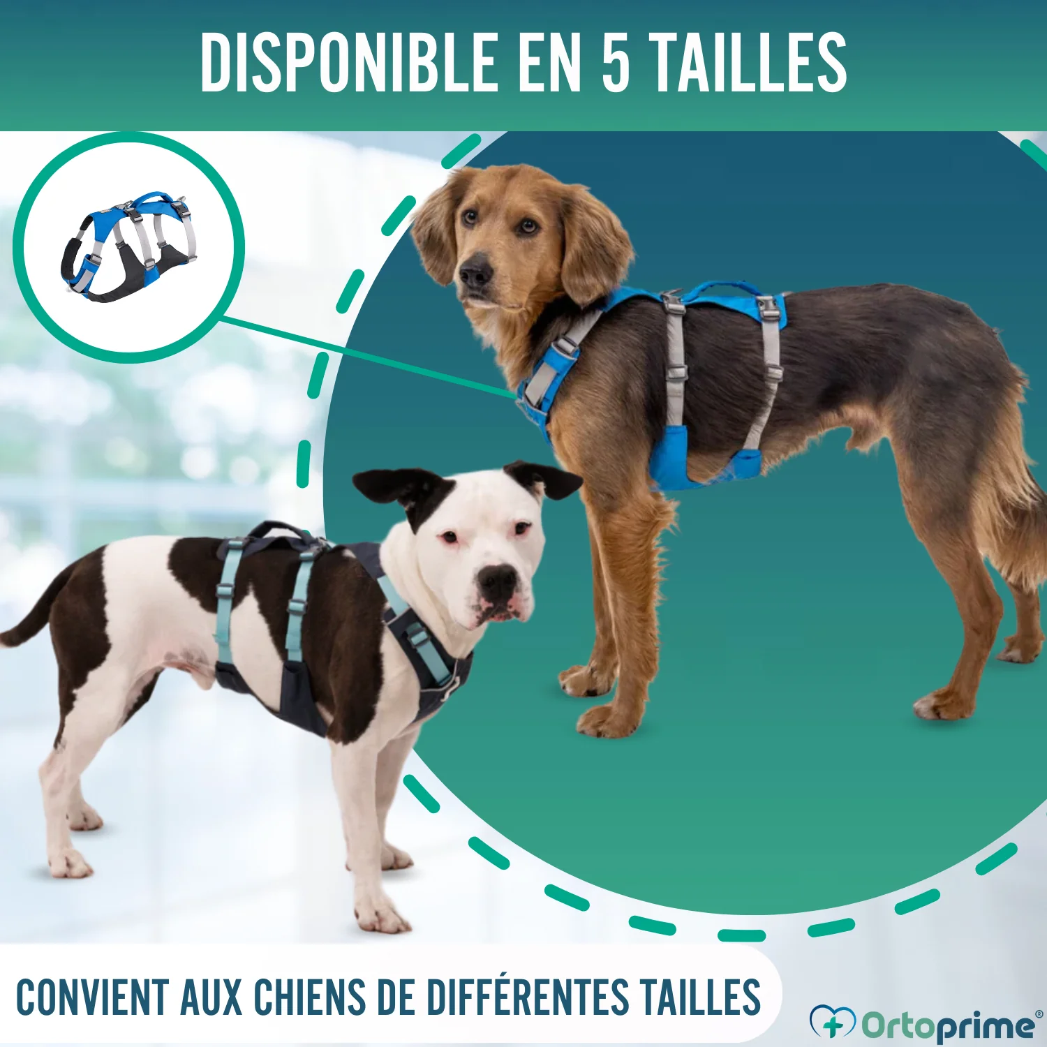 Image du produit 8