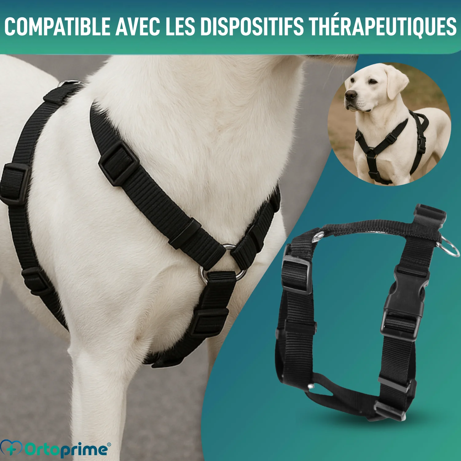 Image du produit 5