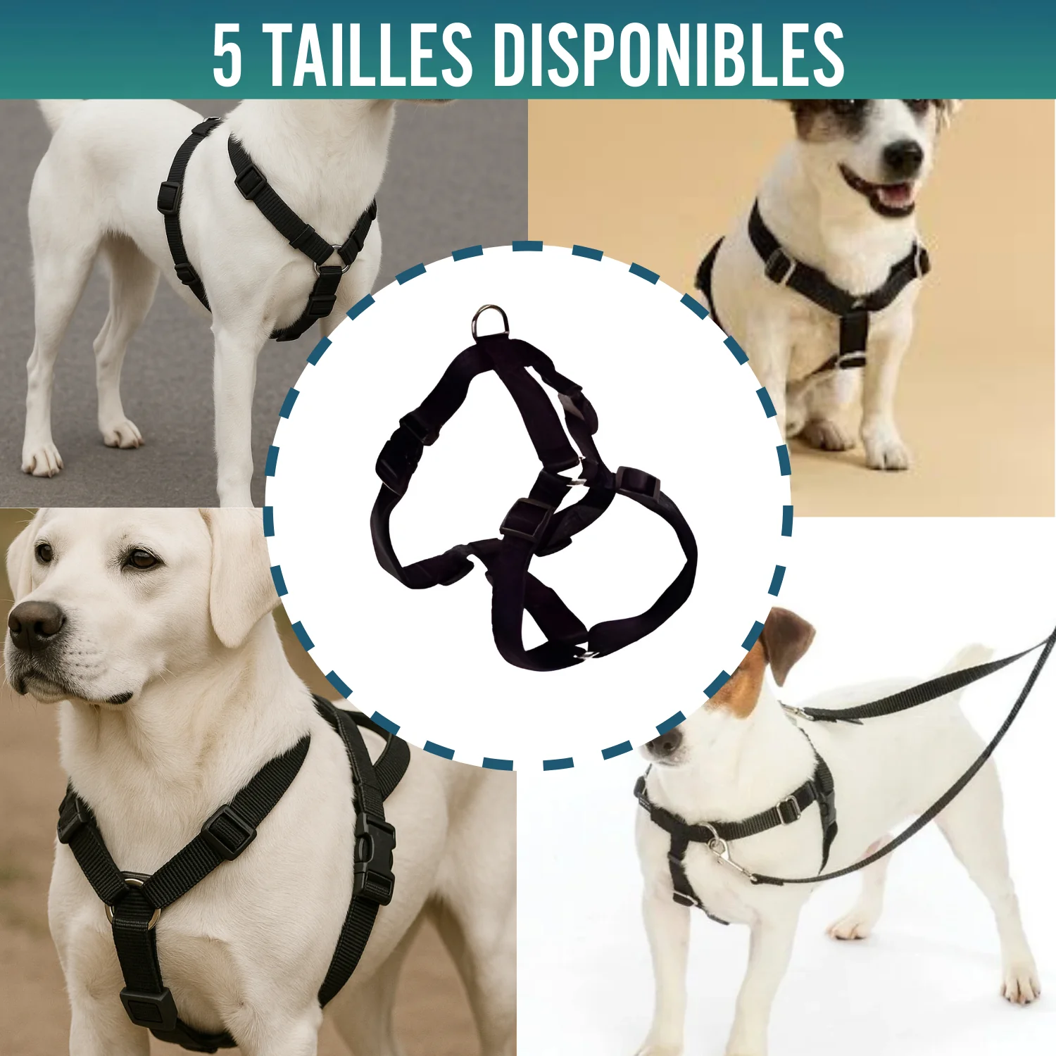 Image du produit 7