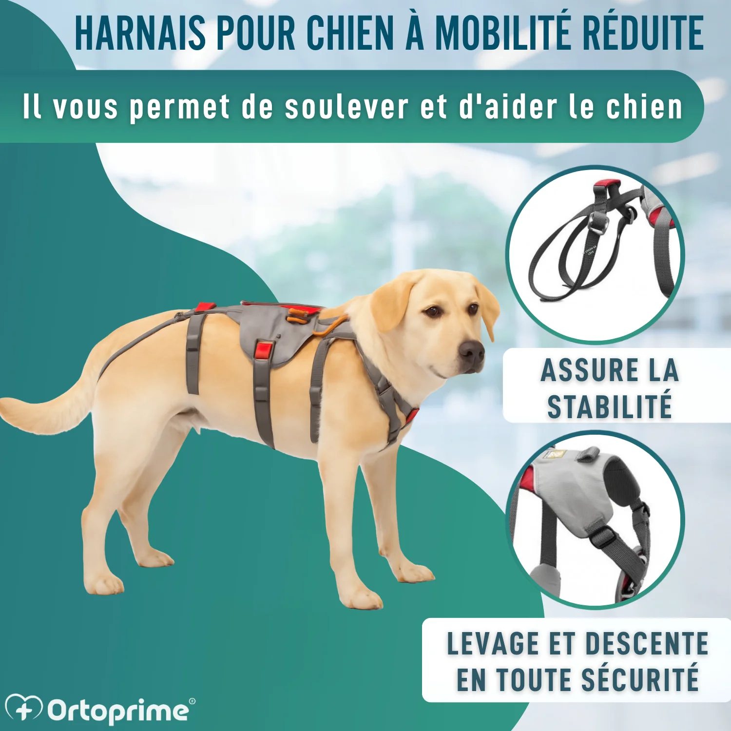 Image du produit 6