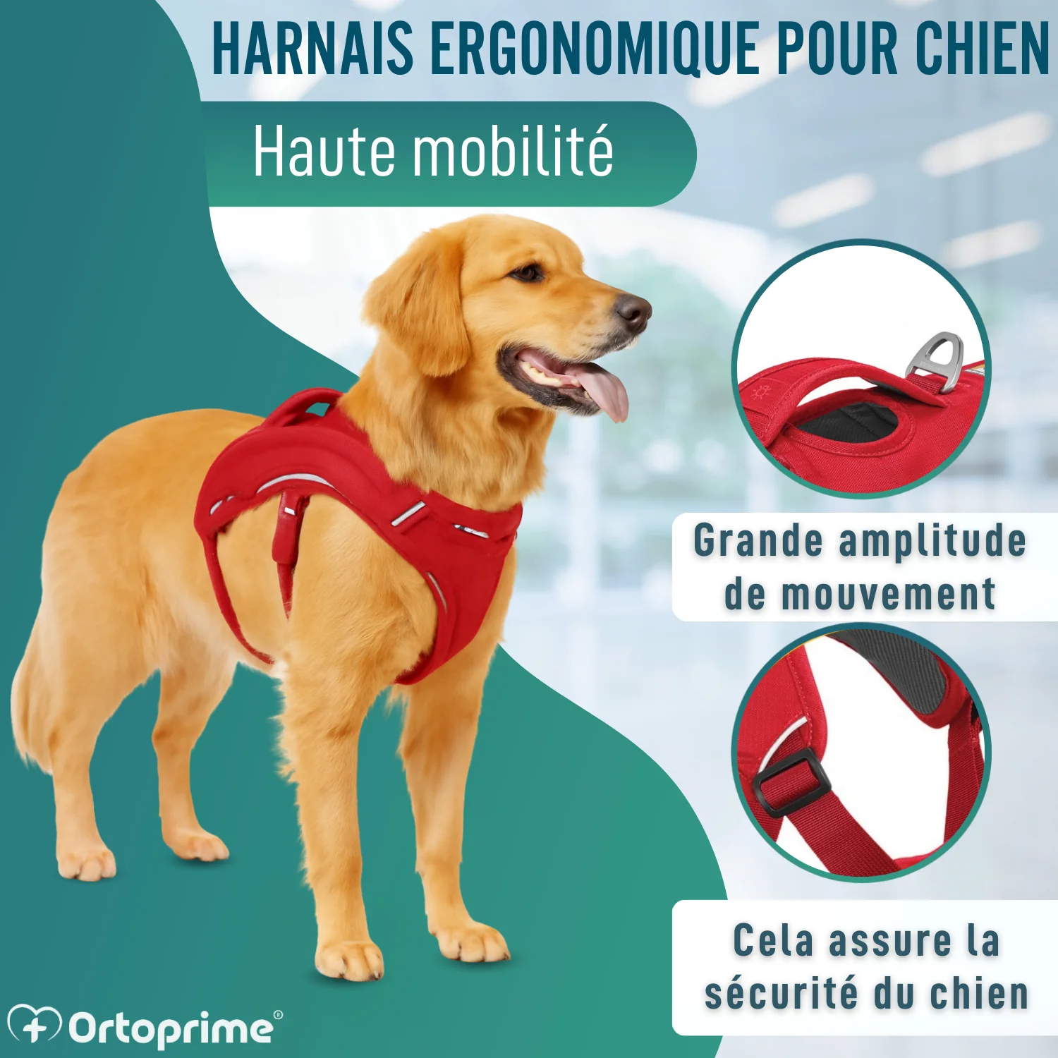 Image du produit 5