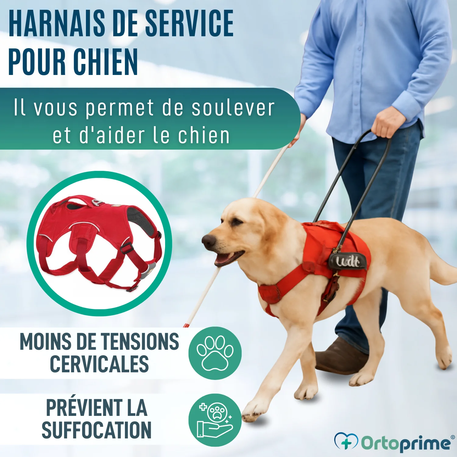 Image du produit 6
