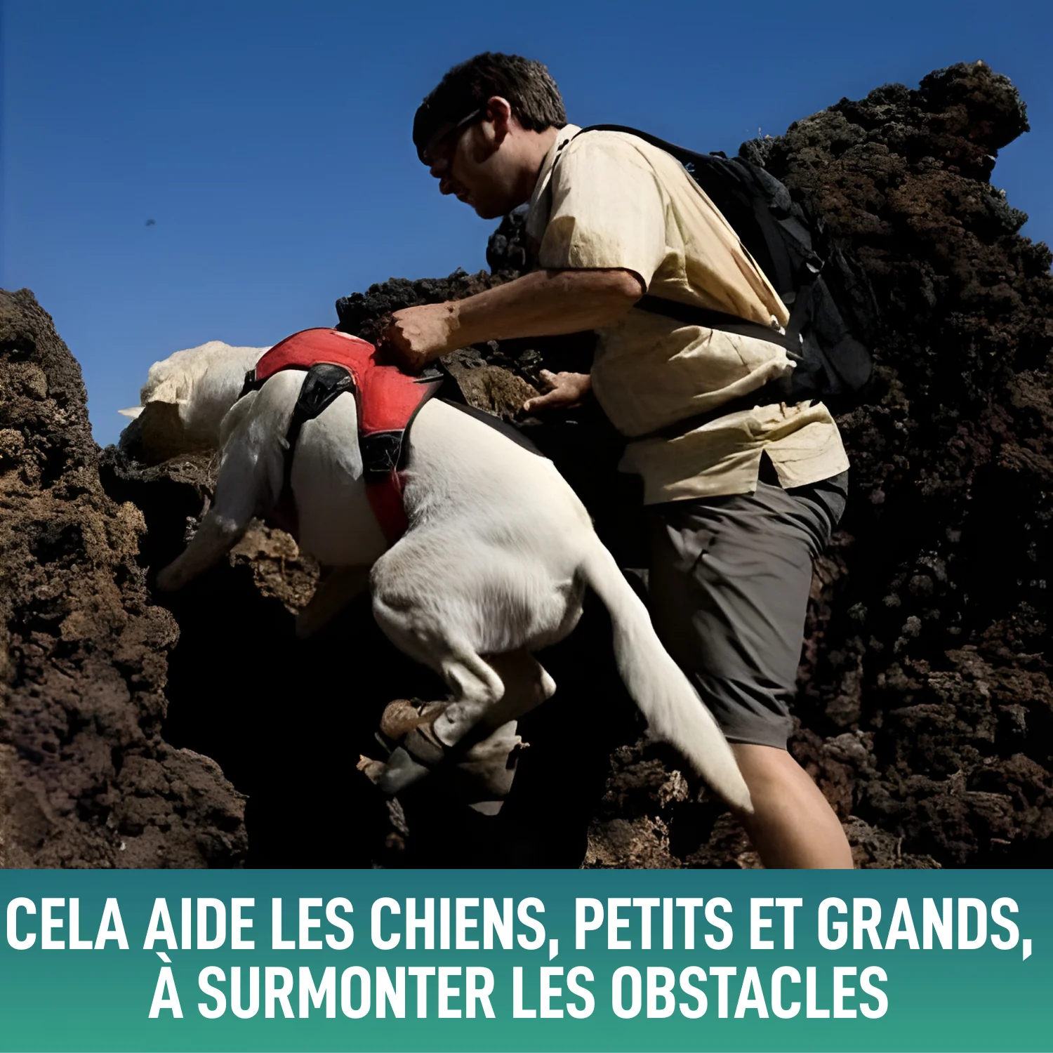 Image du produit 7