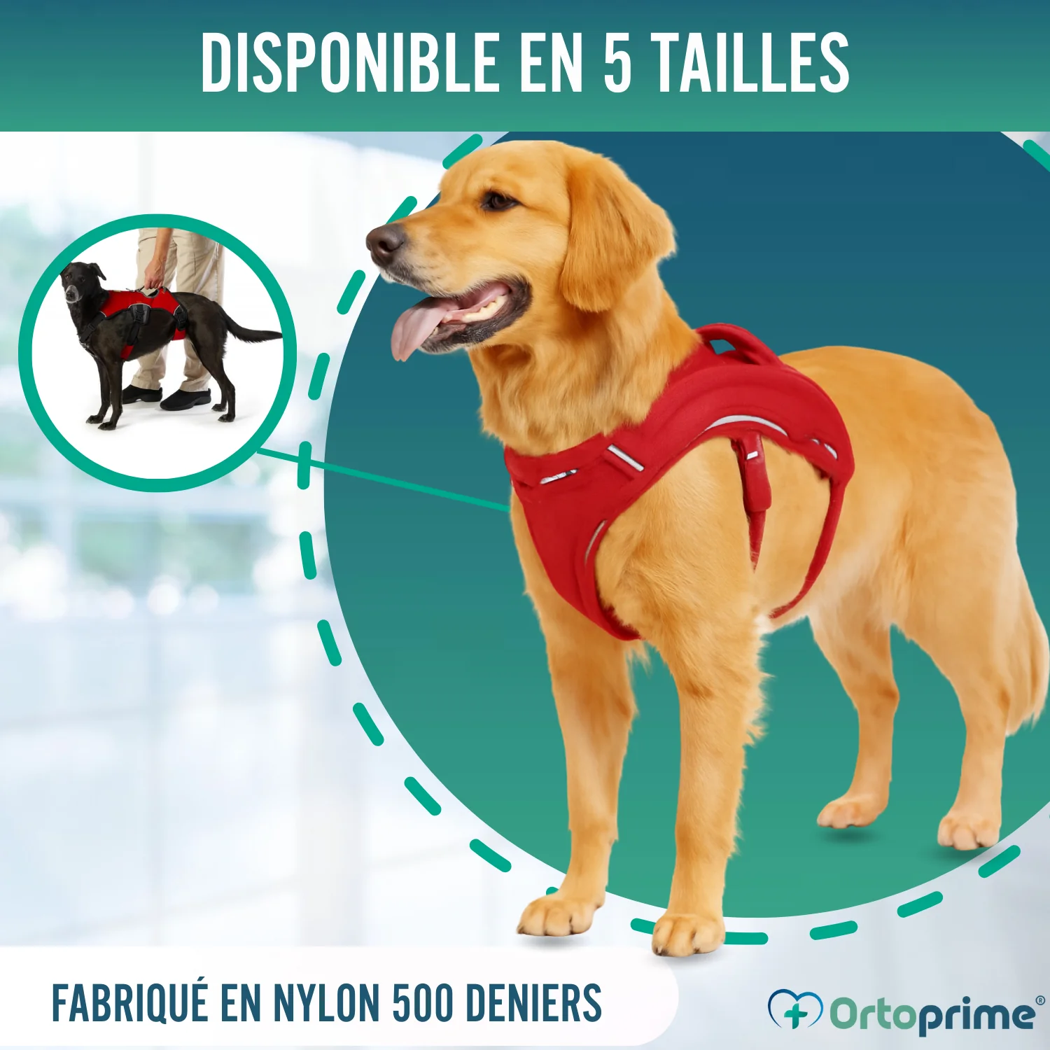 Image du produit 8