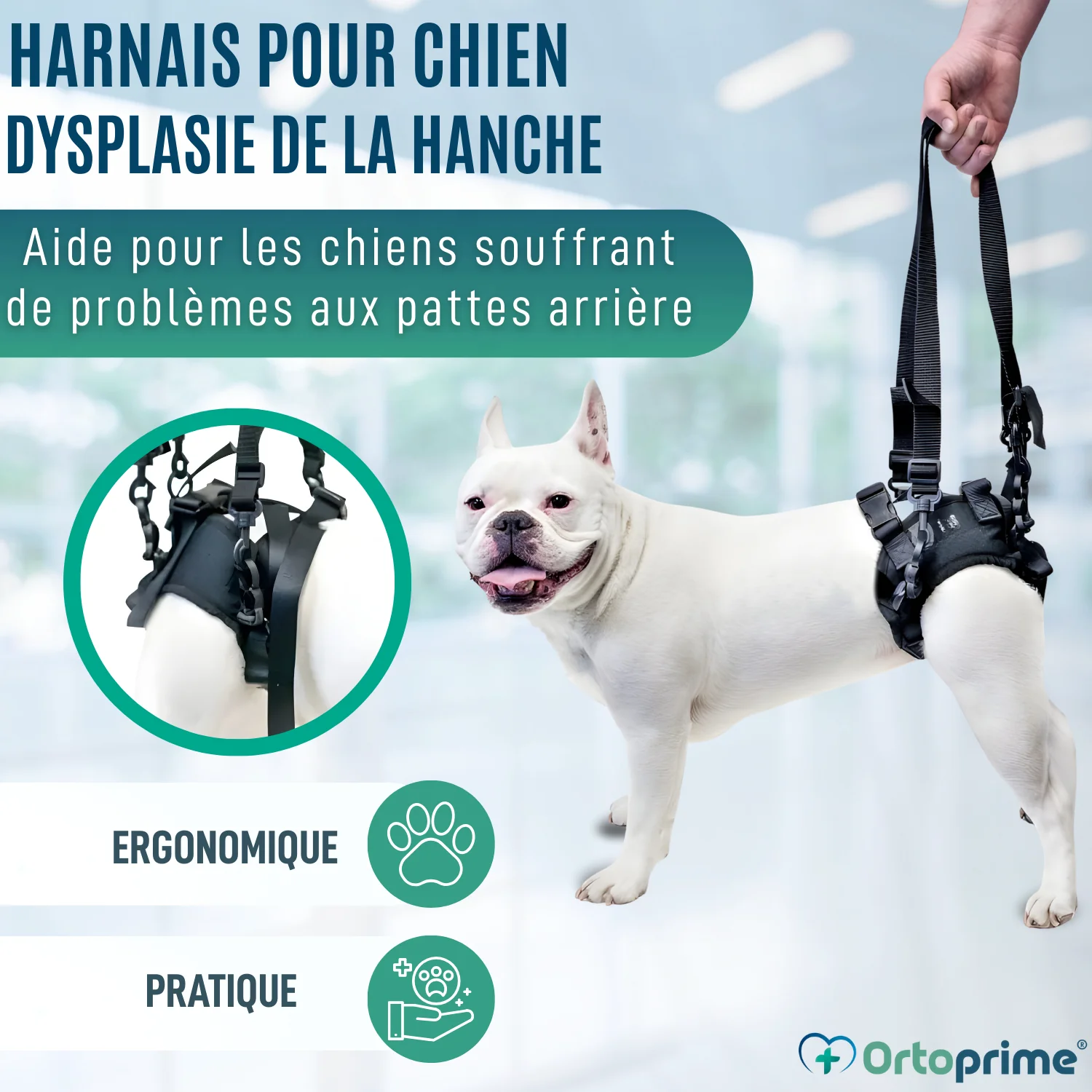 Image du produit 6