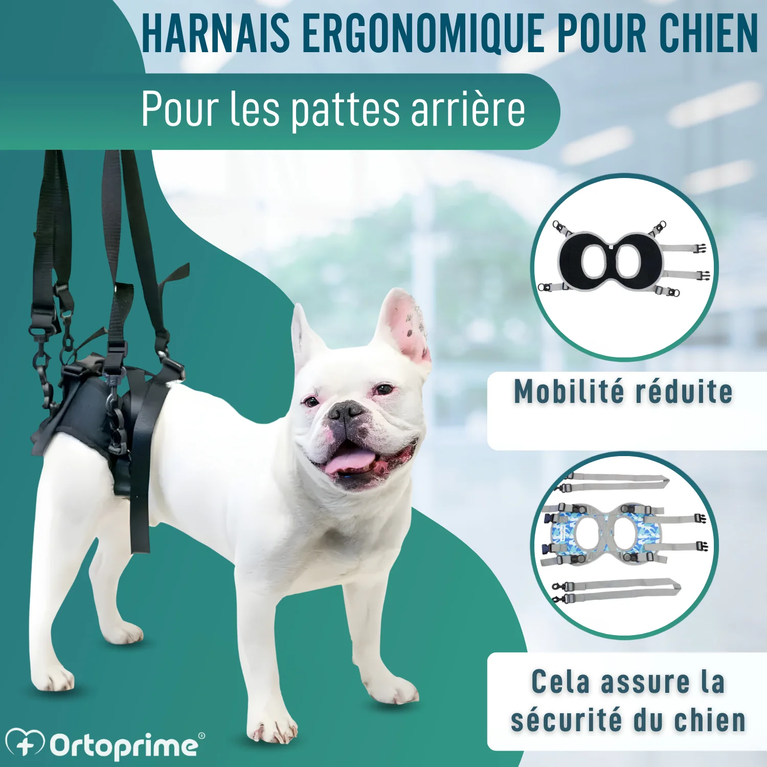 Image du produit 8