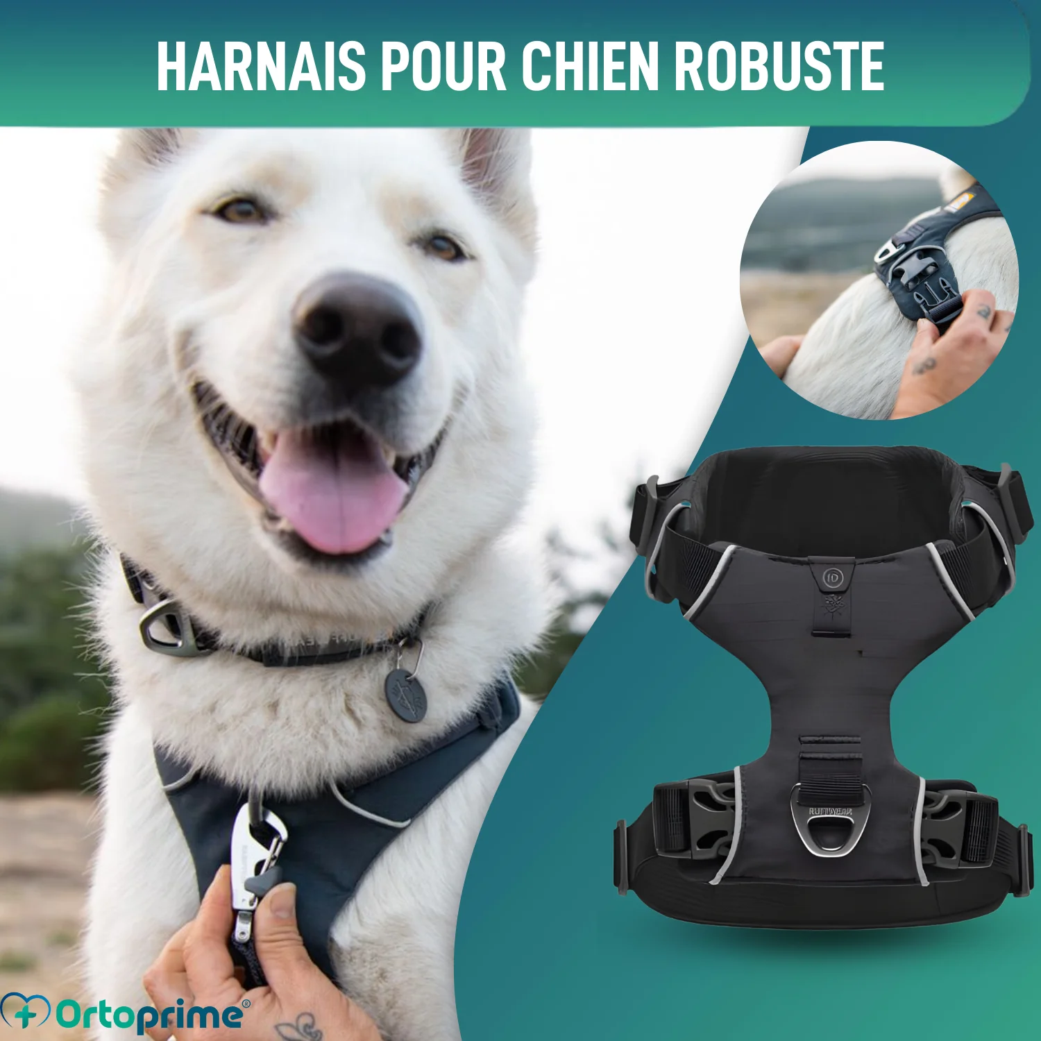 Image du produit 5