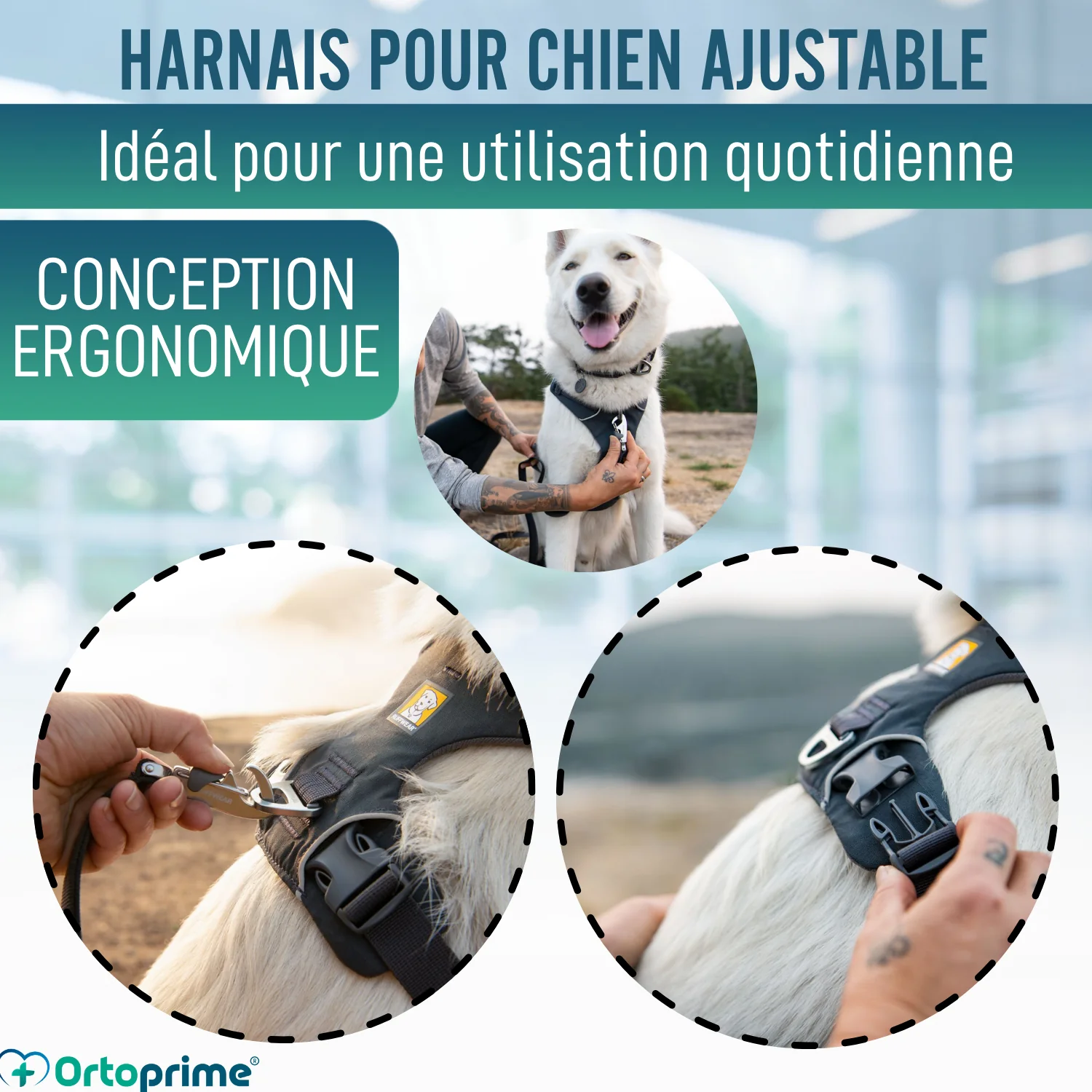 Image du produit 6