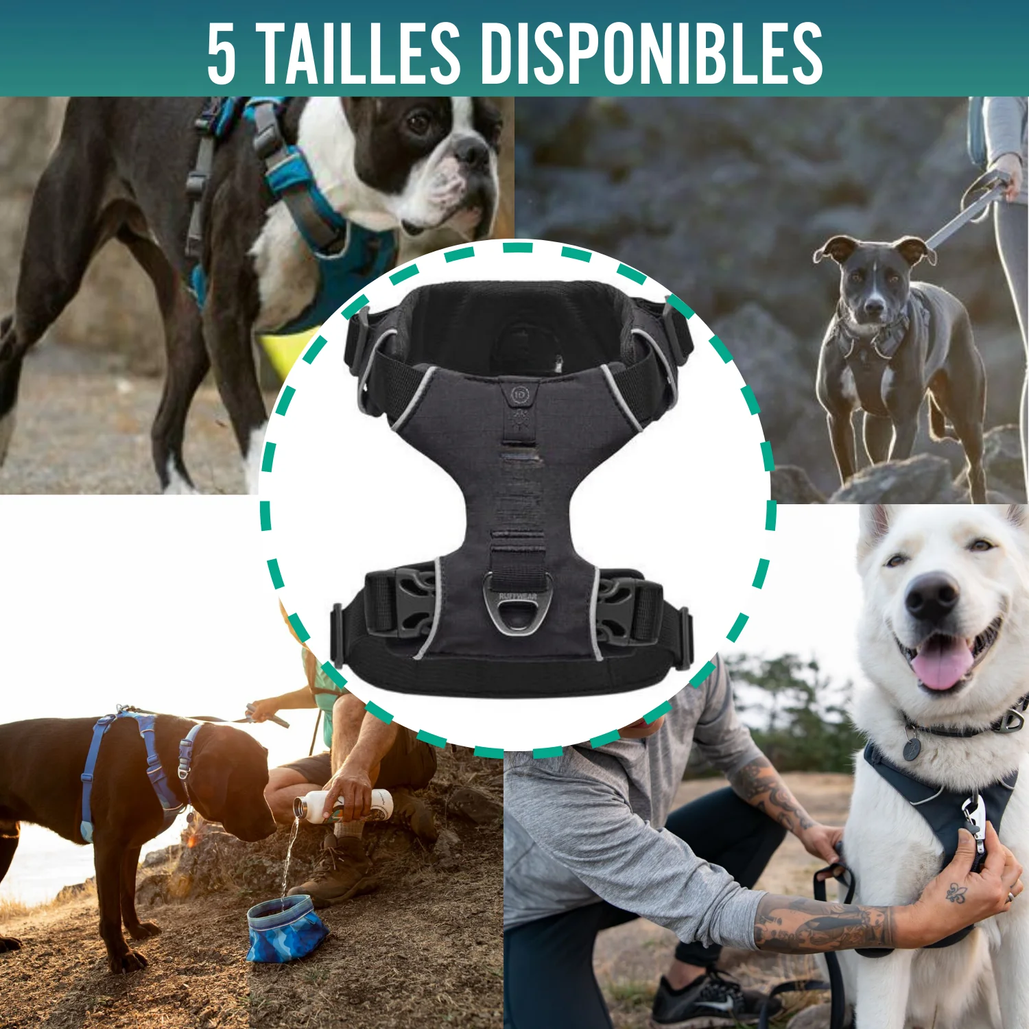 Image du produit 7