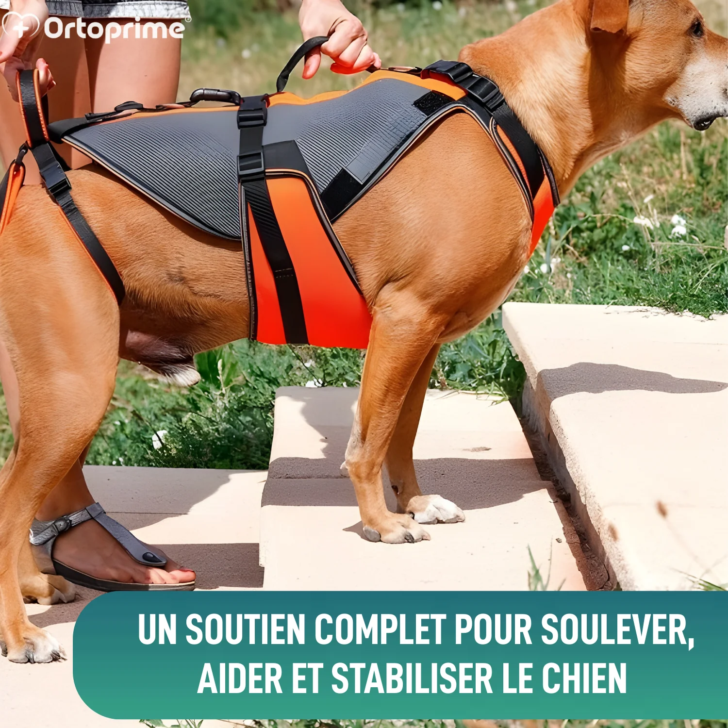Image du produit 5