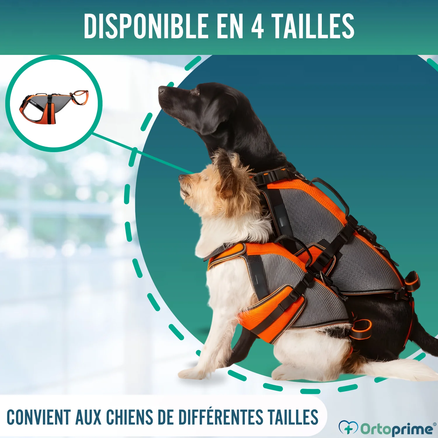 Image du produit 7