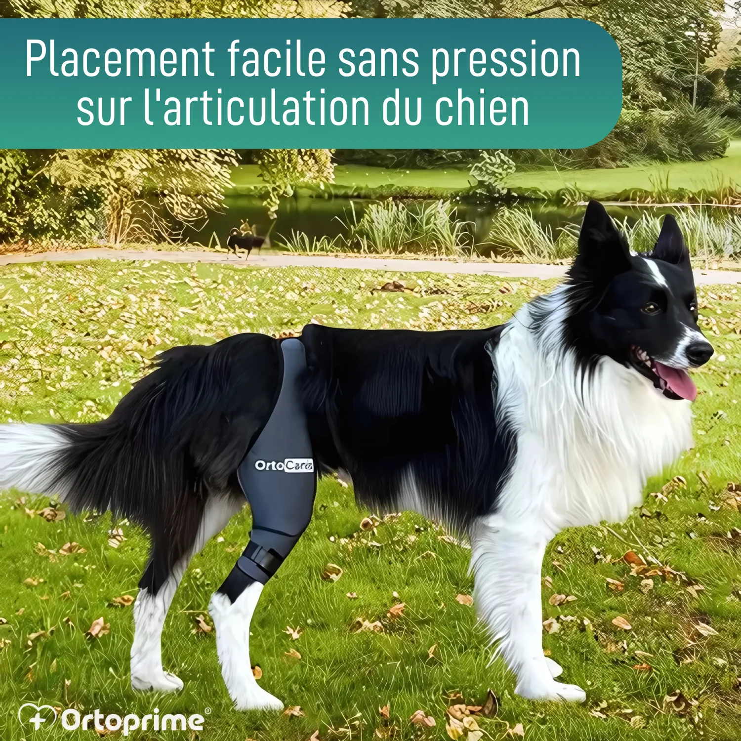Image du produit 5
