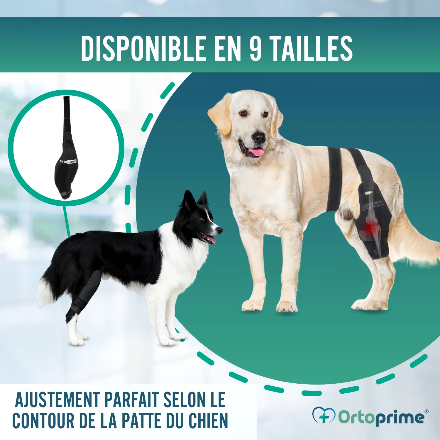 Image du produit 7