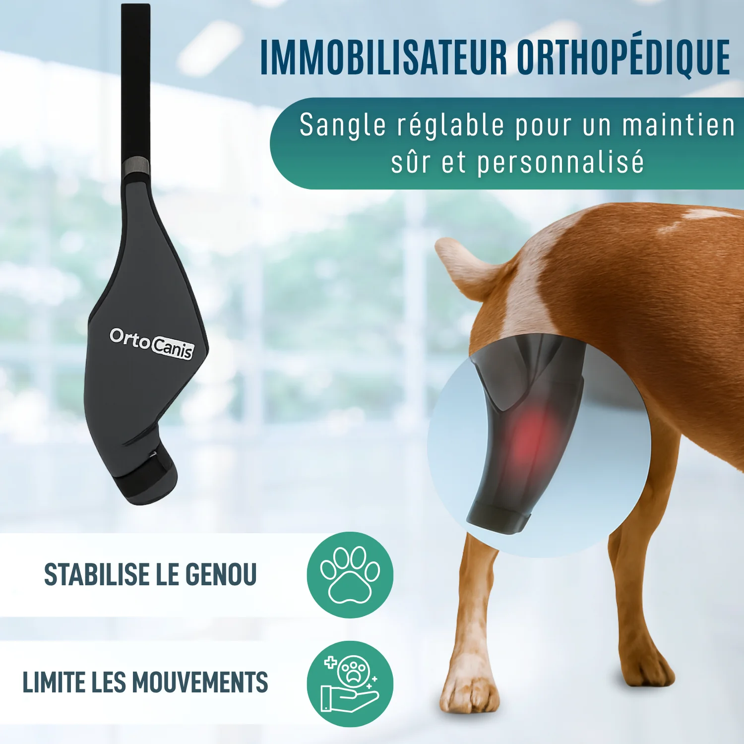 Image du produit 9