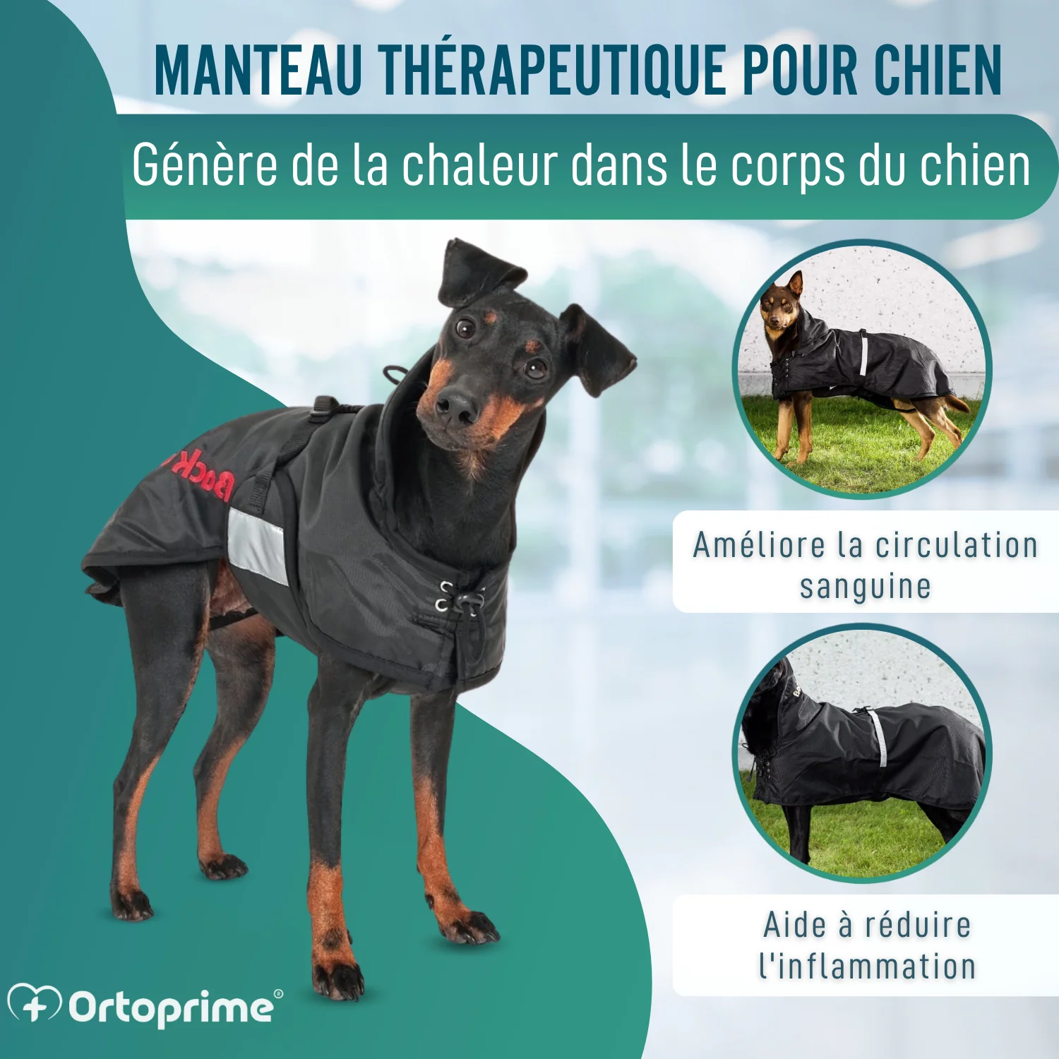 Image du produit 3