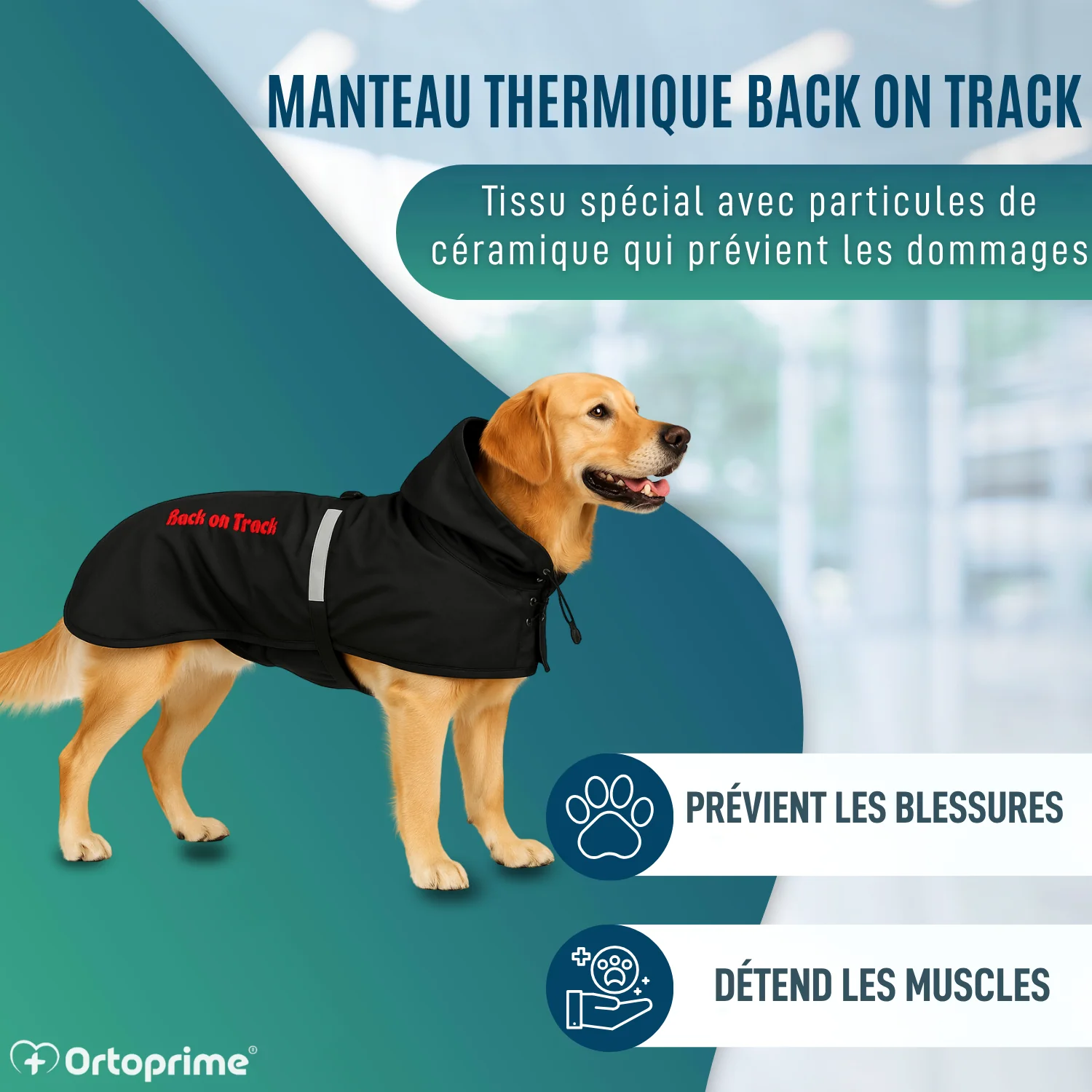 Image du produit 5