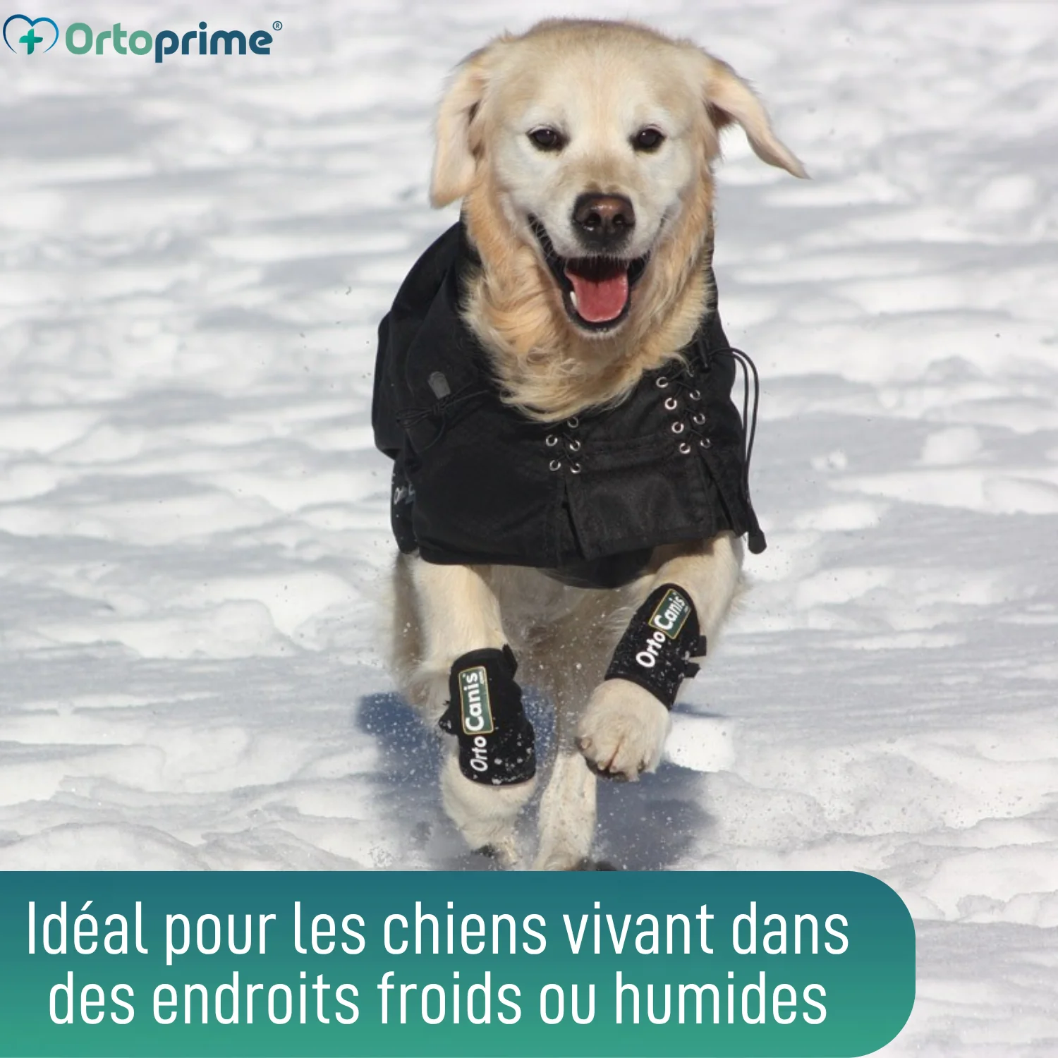 Image du produit 6