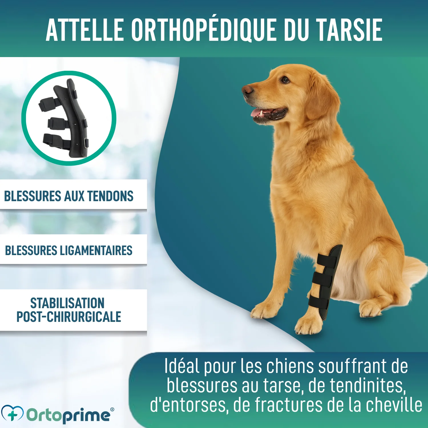 Image du produit 4