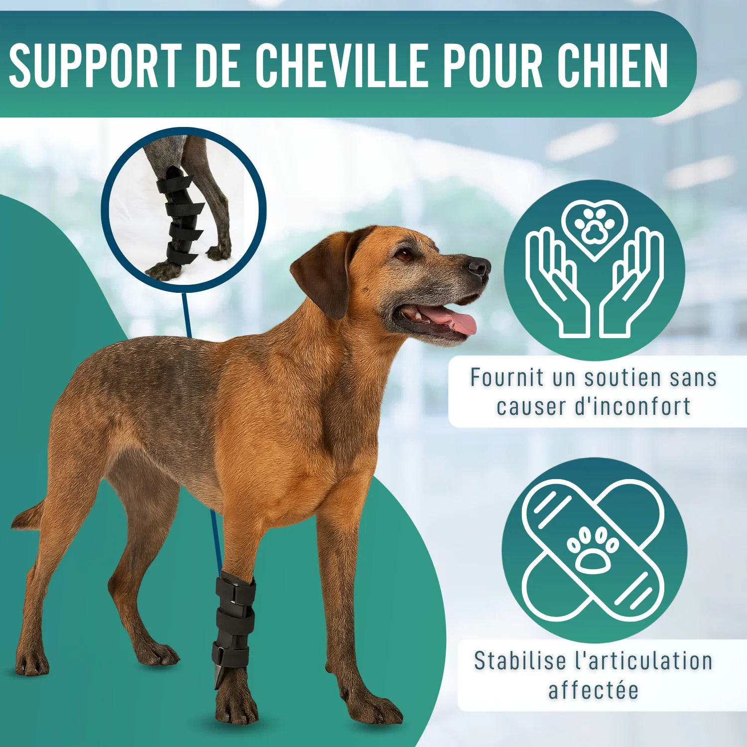 Image du produit 5