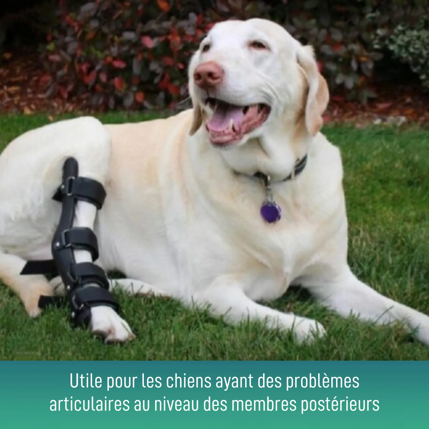 Image du produit 6