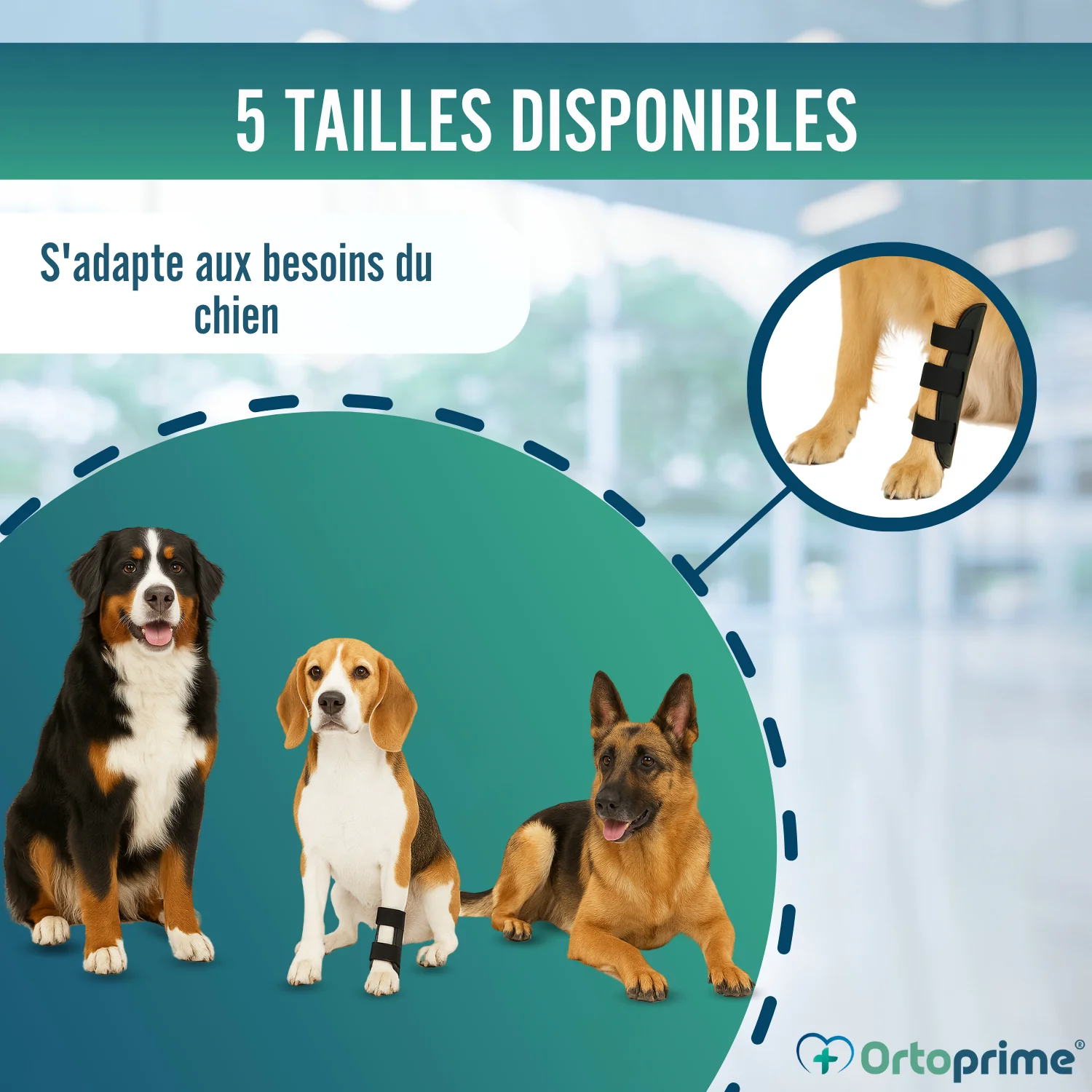 Image du produit 8