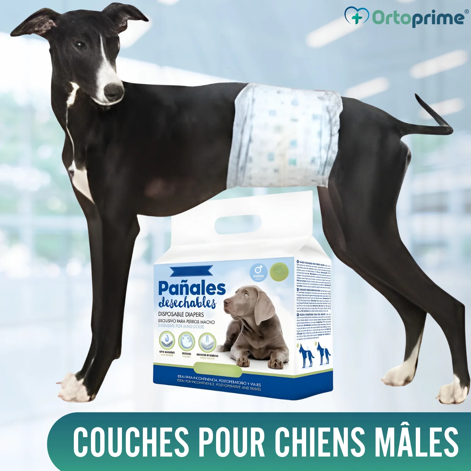 Image du produit 5
